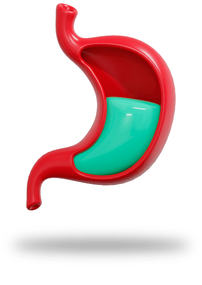 Ilustração de rins