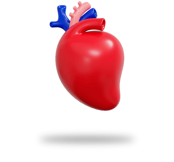 Ilustração de rins